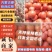 西红柿，硬粉西红柿，产地发货，质量保证货源稳定