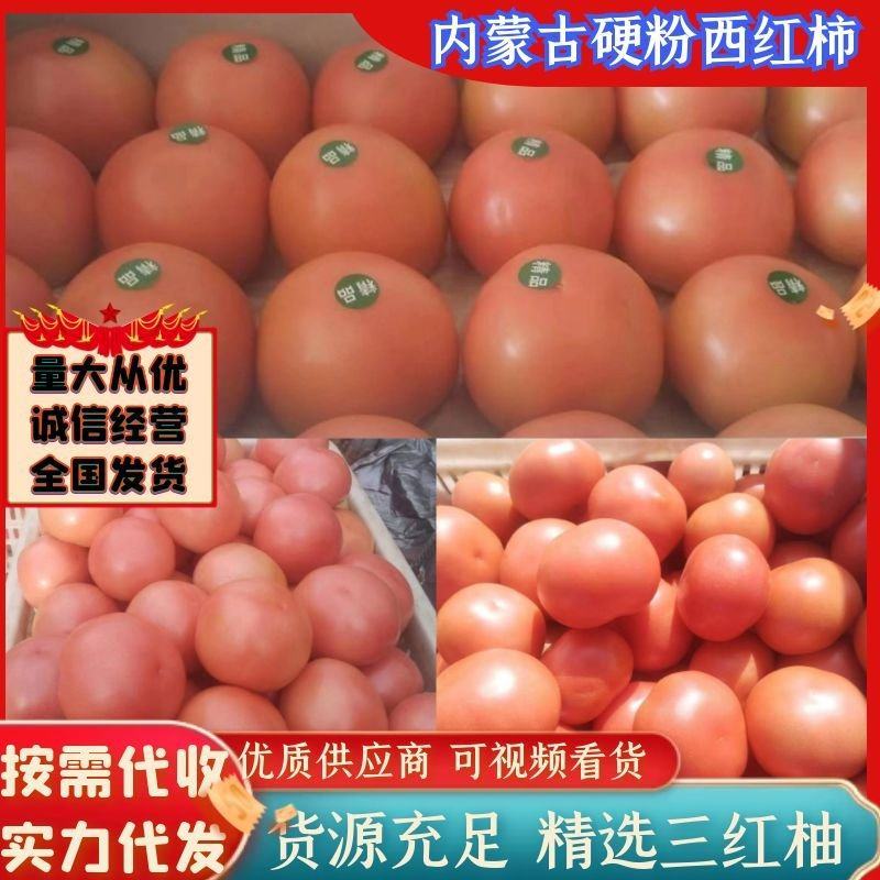 西红柿，内蒙古西红柿大红西红柿，产地发货，质量保证