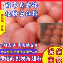 内蒙古西红柿，硬粉西红柿全国发货，质量保证，产地发货