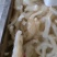 【牛杂】火锅食材批发牛蹄筋主筋水发蹄筋商用餐饮供应链食材