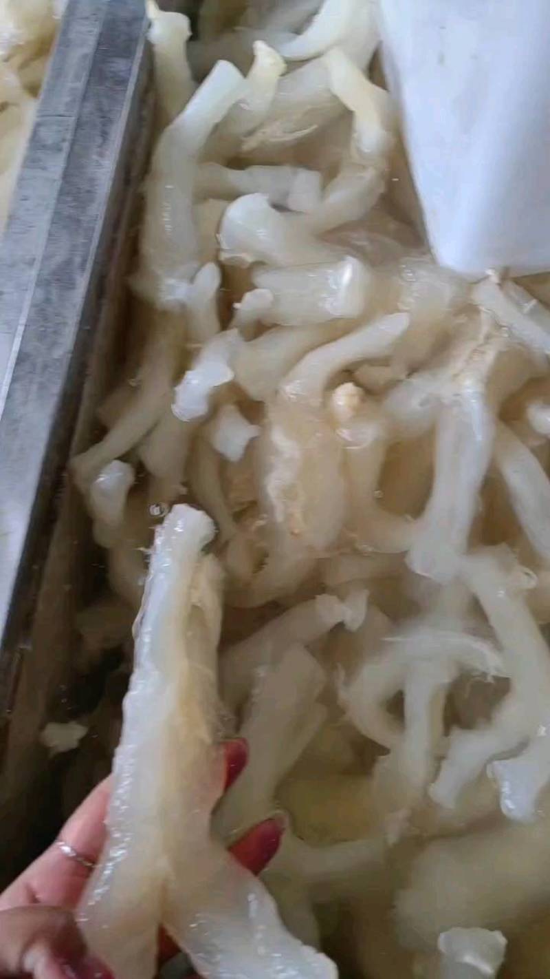 【牛杂】火锅食材批发牛蹄筋主筋水发蹄筋商用餐饮供应链食材
