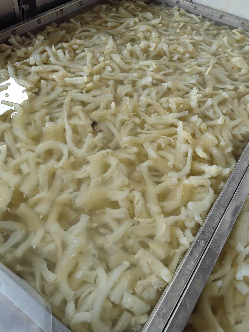 【牛杂】火锅食材批发牛蹄筋主筋水发蹄筋商用餐饮供应链食材