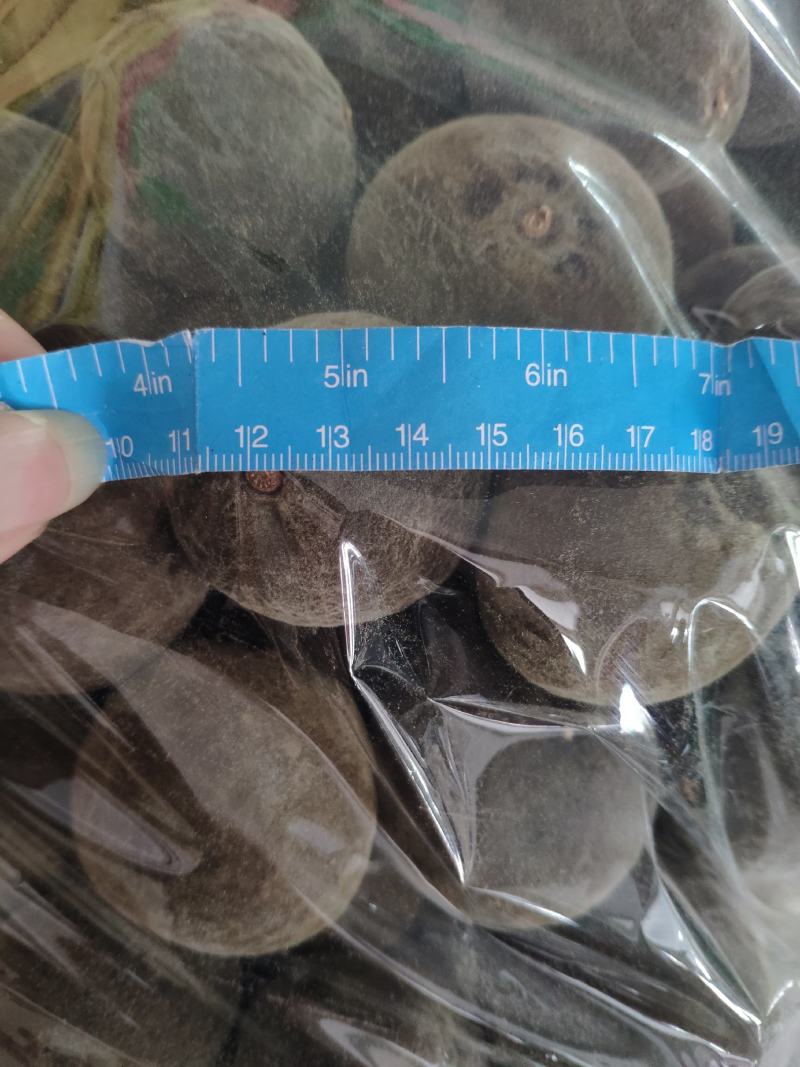 精选化橘红正毛圆果