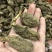 云南昭通天麻昭通野天麻小草坝天麻不满意包退换