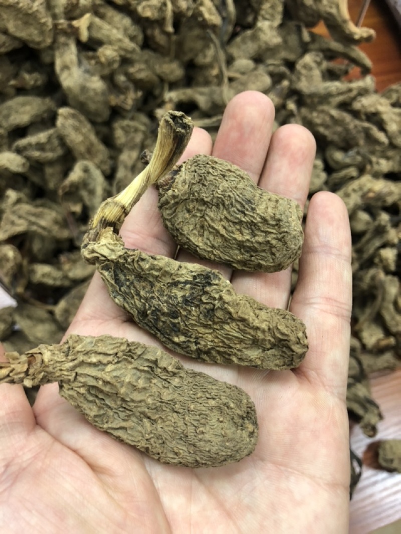云南昭通天麻昭通野天麻小草坝天麻不满意包退换