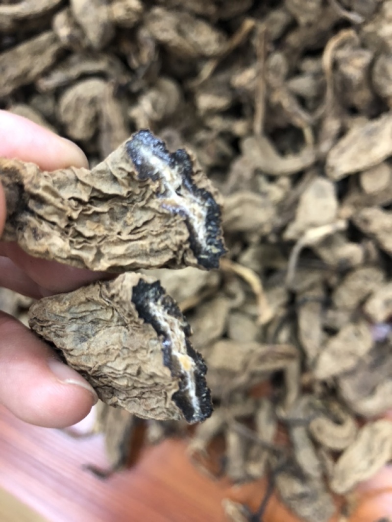 云南昭通天麻昭通野天麻小草坝天麻不满意包退换