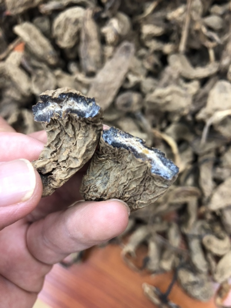 云南昭通天麻昭通野天麻小草坝天麻不满意包退换