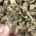 云南昭通天麻昭通野天麻小草坝天麻不满意包退换