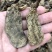 云南昭通天麻昭通野天麻小草坝天麻不满意包退换