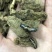 云南昭通天麻昭通野天麻小草坝天麻不满意包退换