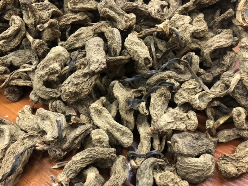 云南昭通天麻昭通野天麻小草坝天麻不满意包退换