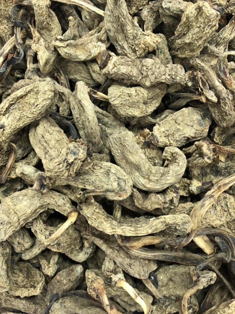 云南昭通天麻昭通野天麻小草坝天麻不满意包退换