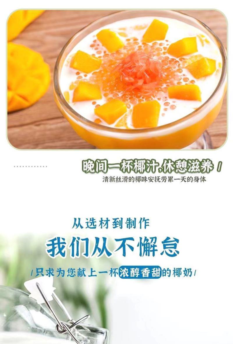 无糖原味椰子粉海南特产椰子粉香浓椰味