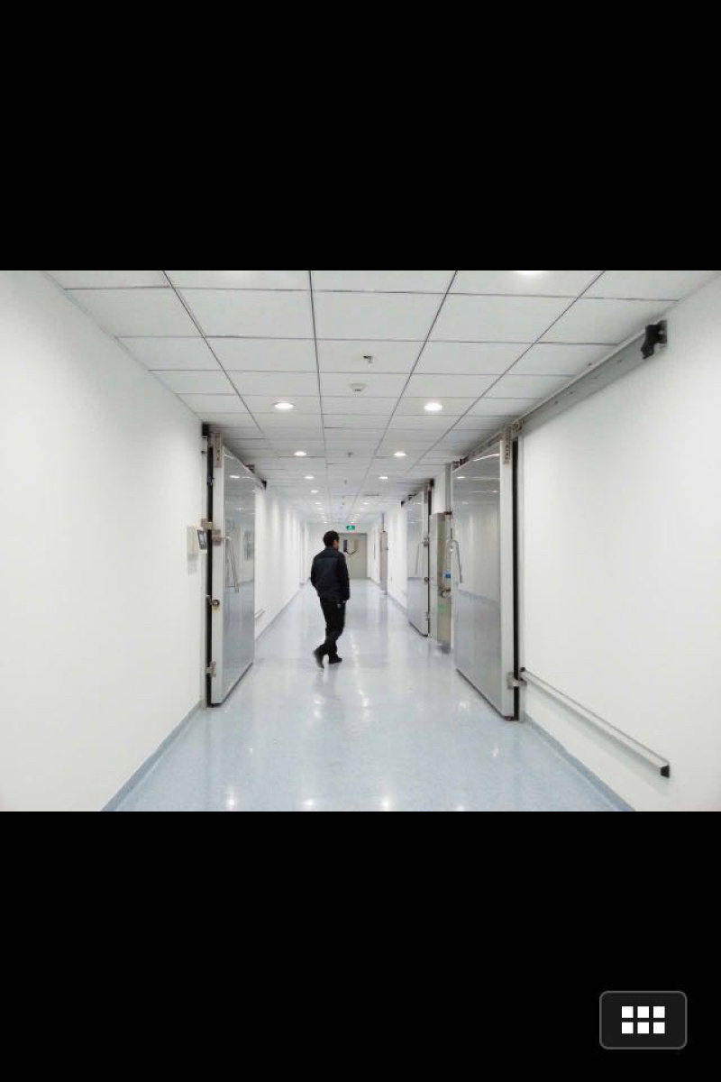 设计制作各种冷库、保鲜库（储存大蒜、土豆、苹果）