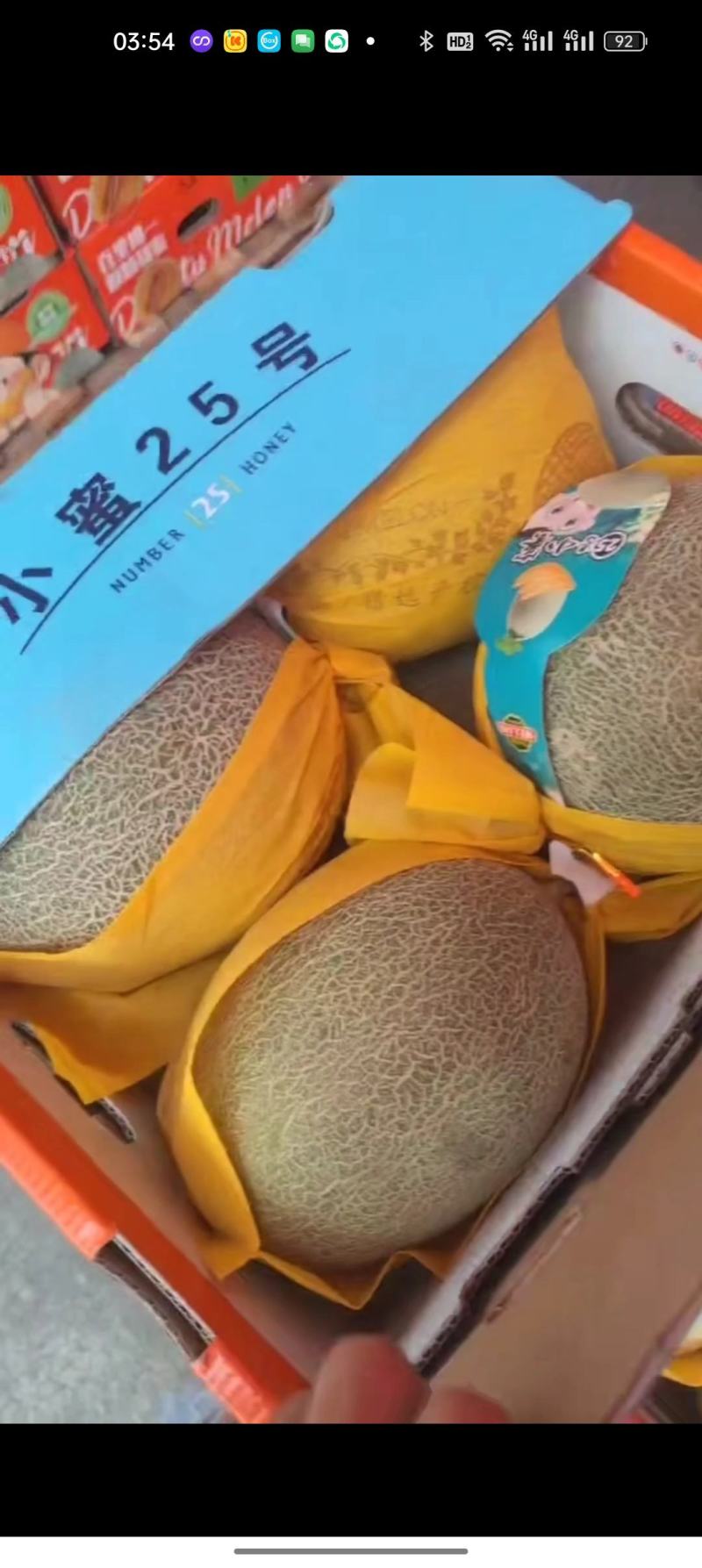 内蒙古巴彦淖尔磴口哈密瓜产地直供