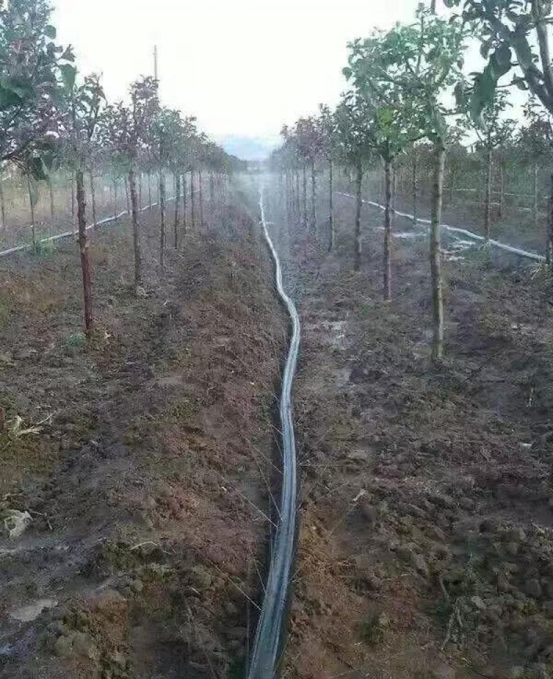 众鑫节水灌溉，聚乙烯材质，微喷带双层复合加厚，斜九孔