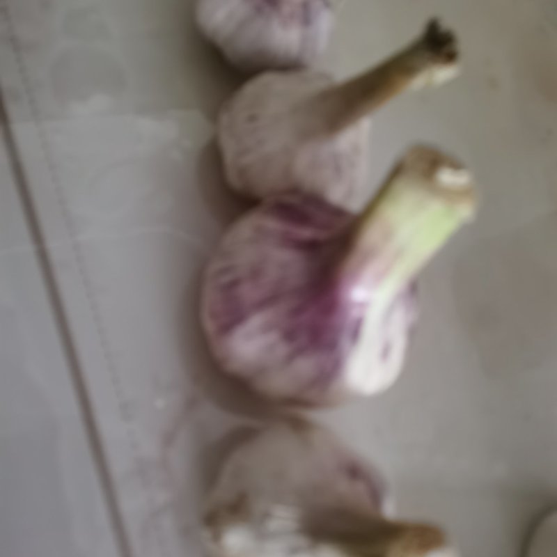 金蒜一号大蒜种子，太空大蒜种子，大蒜种子，紫皮大蒜种子，