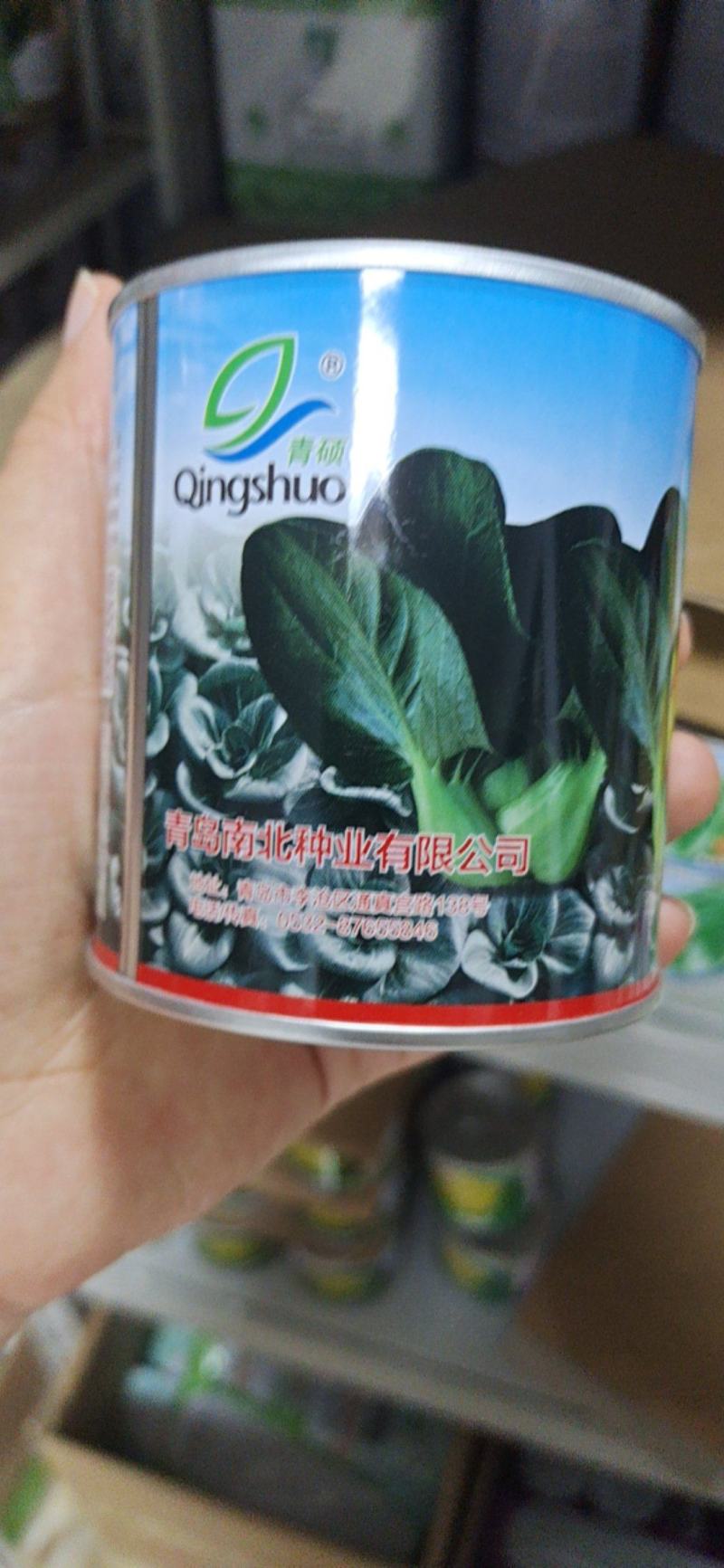 墨丽黑叶苏州青种子矮箕束腰基部肥厚口感好高产抗病