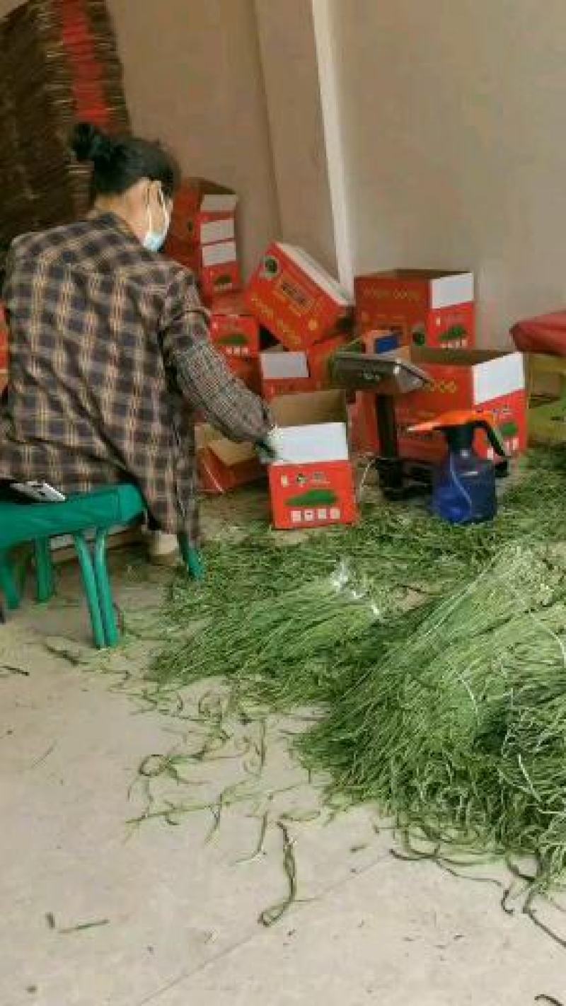 苹果经登录名口感好