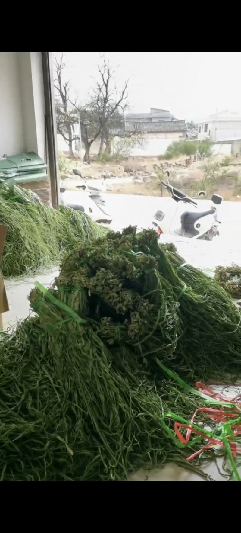 苹果经登录名口感好