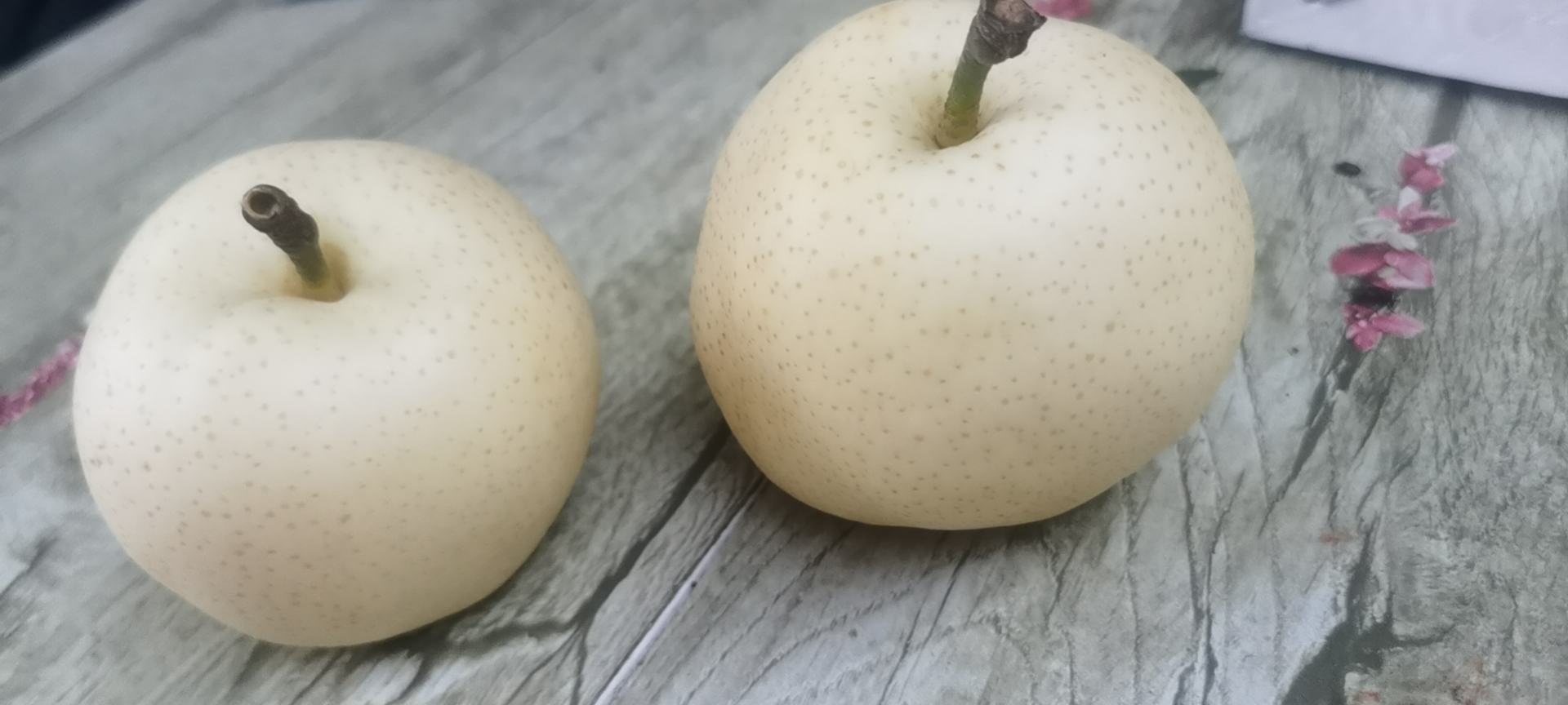 成品蒸梨特写