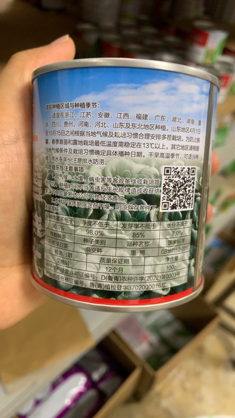 墨丽黑叶苏州青种子矮箕束腰基部肥厚口感好高产抗病