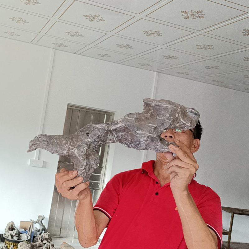 英石动物石小英石摆件