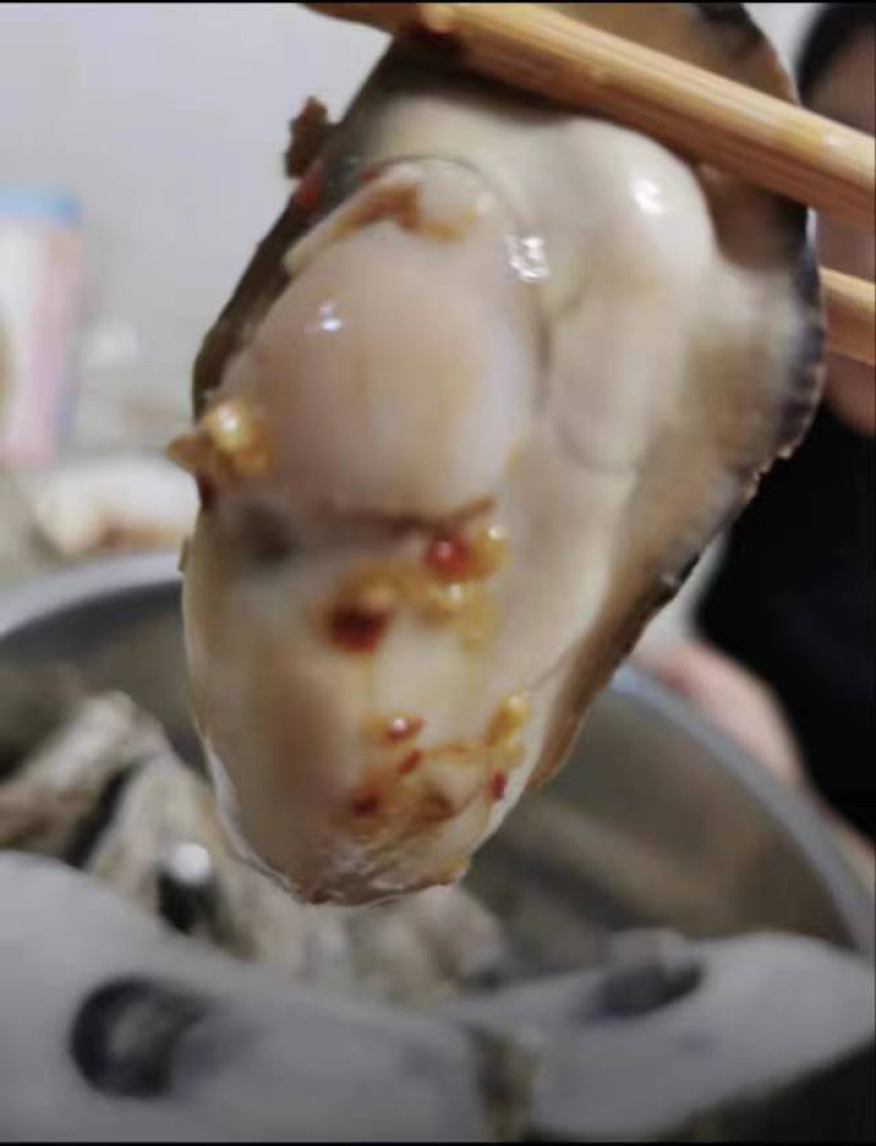 [推荐]北京生蚝乳山生蚝三倍体源头厂家批发