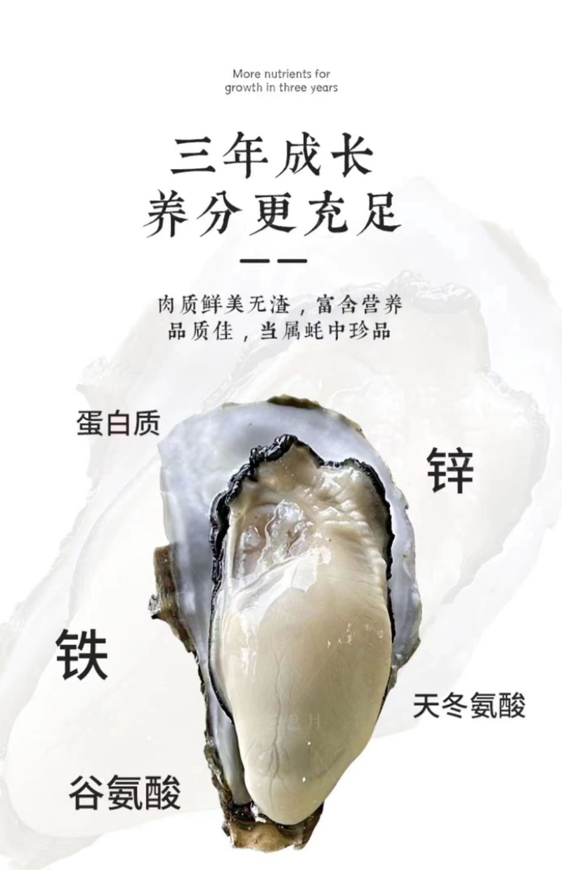 [推荐]北京生蚝乳山生蚝三倍体源头厂家批发
