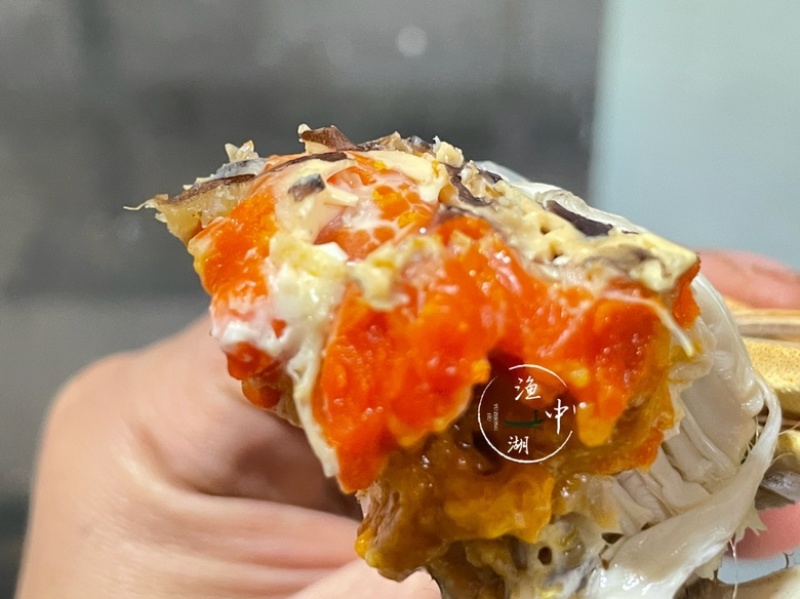 中秋福利阳澄湖大闸蟹招合作商企业采购，批发，代发一手货源