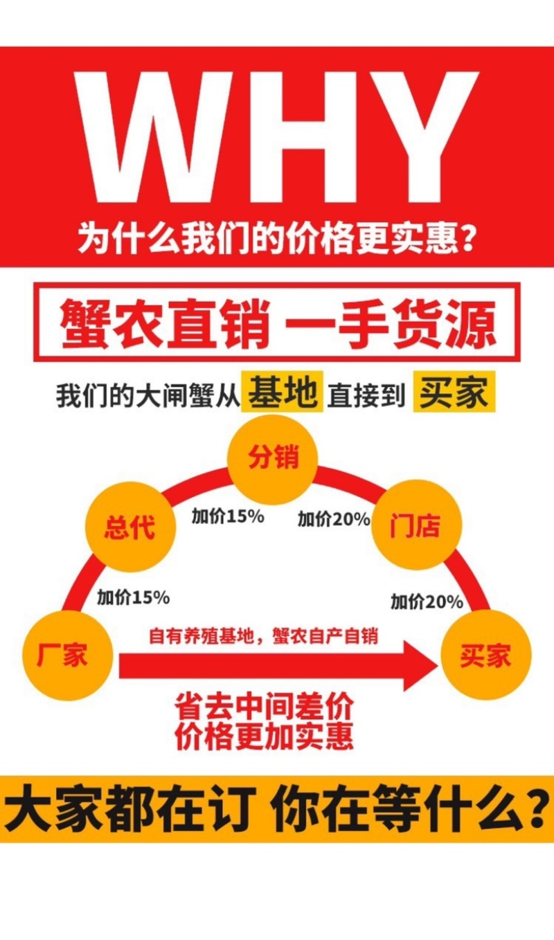 中秋福利阳澄湖大闸蟹招合作商企业采购，批发，代发一手货源
