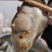 [热卖]北京乳山生蚝生蚝三倍体规格齐全产地直发
