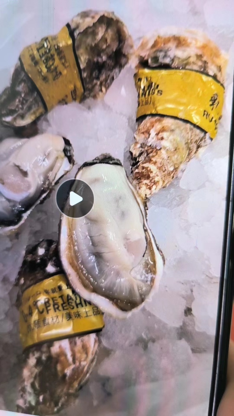 [热卖]北京乳山生蚝生蚝三倍体规格齐全产地直发