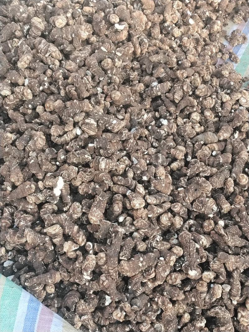 规格齐全重楼现货秒发正品行货健康食品供应