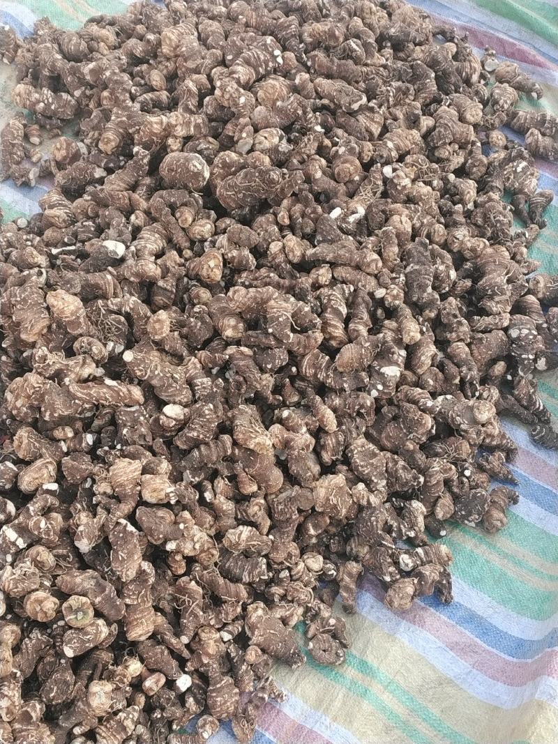 规格齐全重楼现货秒发正品行货健康食品供应