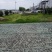 2025年余干大塘鄱阳湖特色本地生西瓜子
