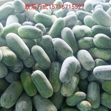 水果冬瓜