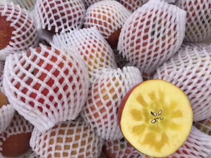 白鹿原樱桃包装与销售场景