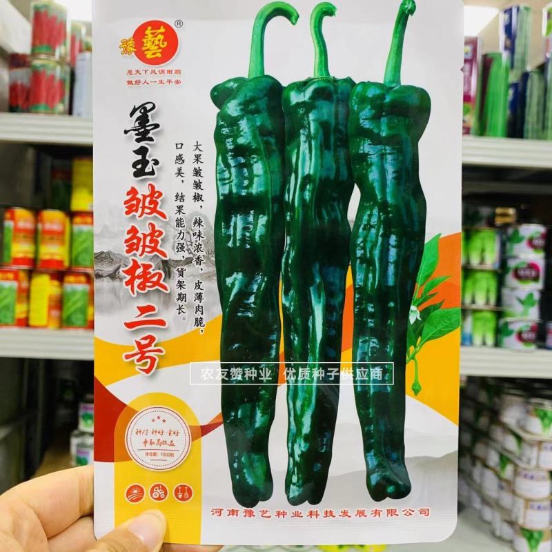 豫艺墨玉皱皱椒二号大果皱皮椒种子大黑皱皱辣种子特辣皮薄