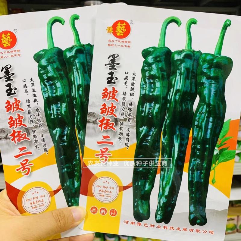 豫艺墨玉皱皱椒二号大果皱皮椒种子大黑皱皱辣种子特辣皮薄