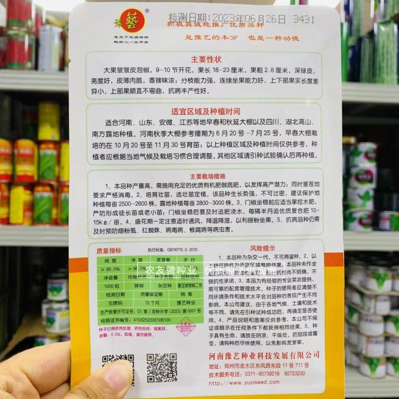 豫艺墨玉皱皱椒二号大果皱皮椒种子大黑皱皱辣种子特辣皮薄