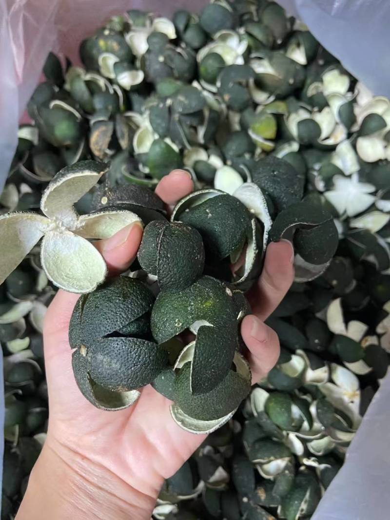 【精品推荐】2025新皮新会陈皮头采青皮/供应电商市场