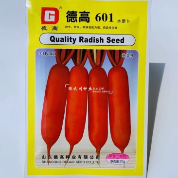 德高601水萝卜种子微甜无辣味水分足基地推荐红皮萝卜种子