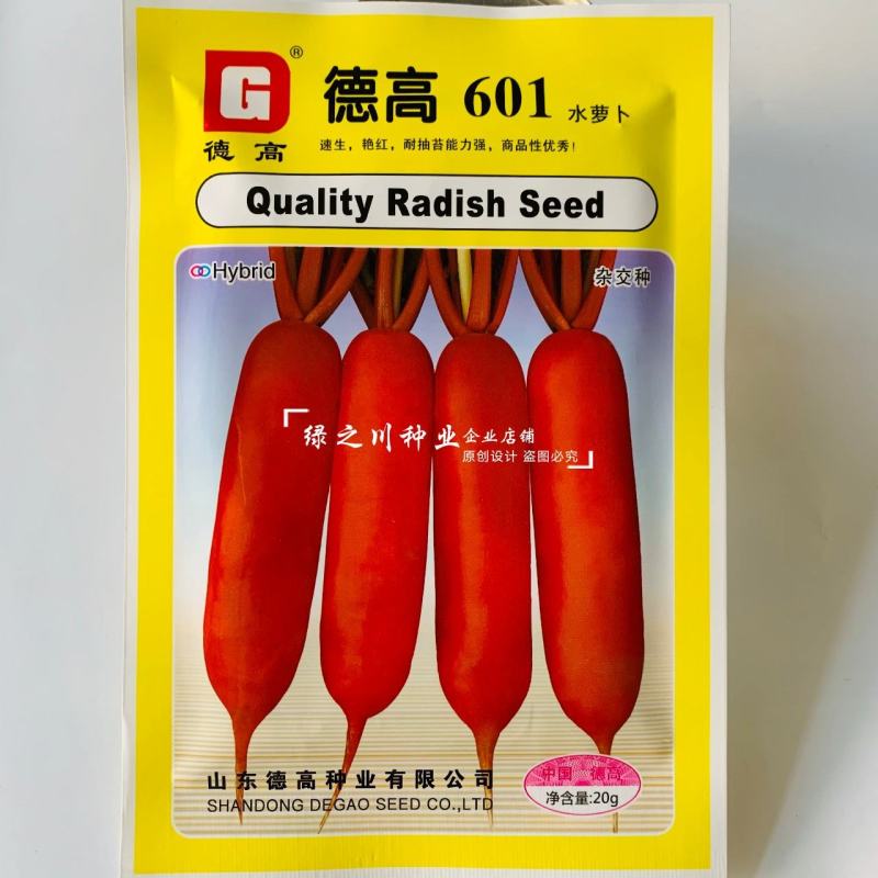 德高601水萝卜种子微甜无辣味水分足基地推荐红皮萝卜种子