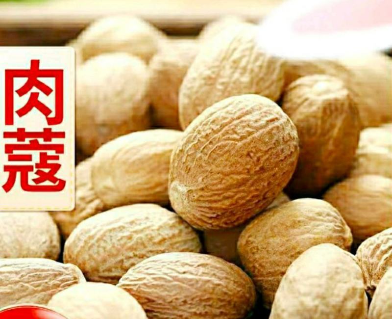 农家肉豆蔻肉蔻个头饱满香气浓郁炖肉卤煮火锅调味料