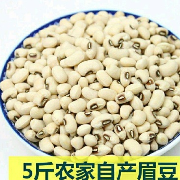 眉豆白眉豆白豇豆干净无杂香甜软糯健康营养包邮