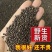 野生黄荆子布荆子产地货大量出货欢迎工厂以及电商团购来单