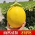 【推荐】金红宝，民勤蜜瓜，晓蜜25哈密瓜，可视频看货