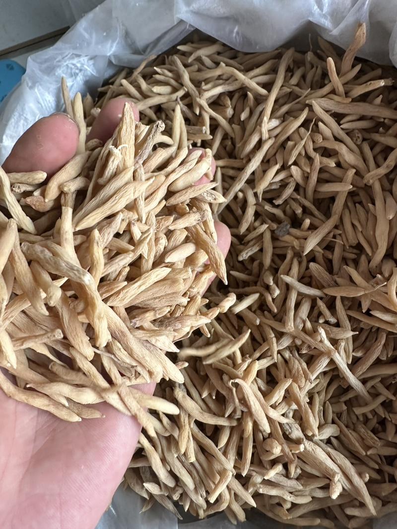 麦冬川麦冬精选麦冬，无硫批发零售各种规格中药材