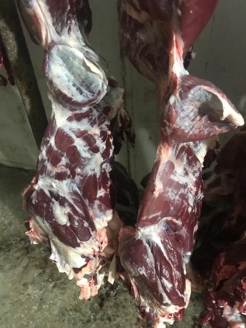 国产纯干冷鲜牛肉全牛肉后腿肉屠宰厂长期供应